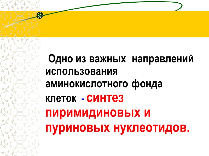 Одно из важных  направлений   использования  аминокислотного фонда клеток  -